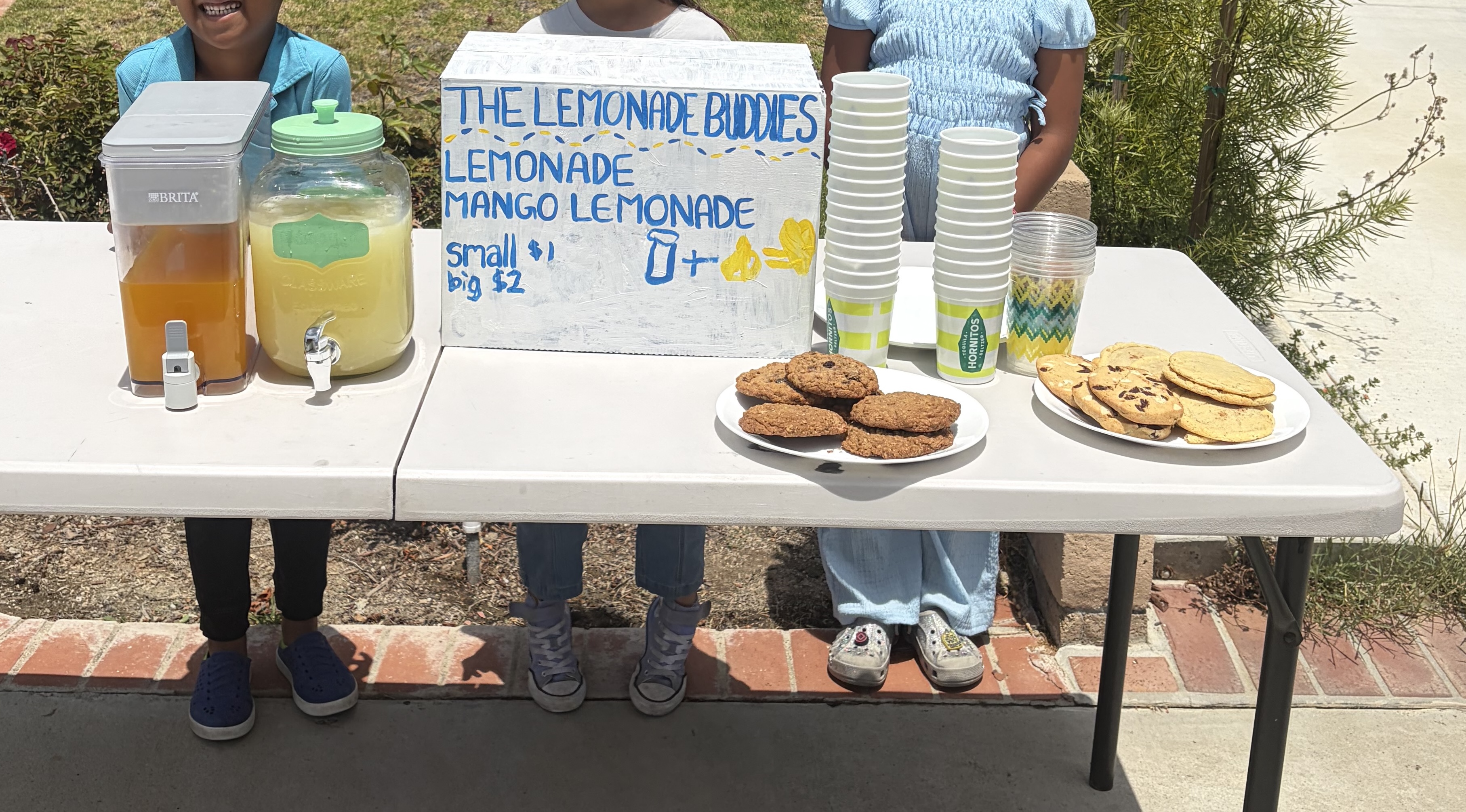 The Lemonade Stand